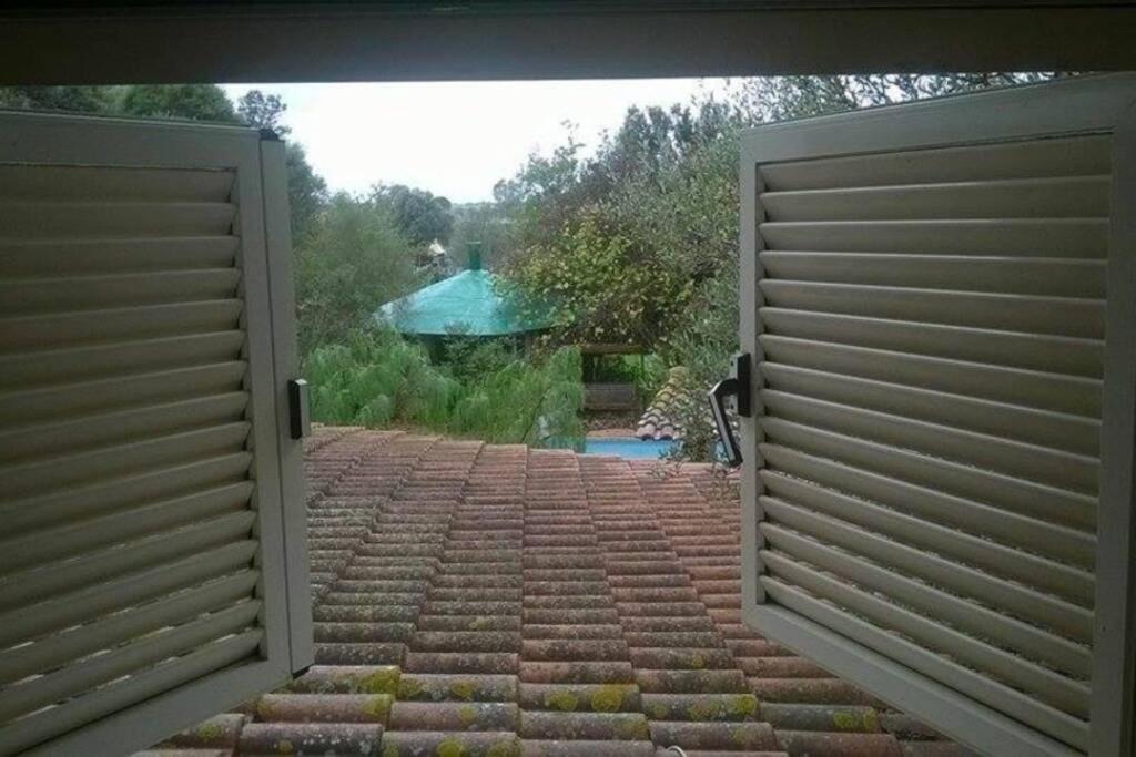 Loft Mansardato Con Giardino E Piscina In Villa Privata Loft With Garden And Swimming Pool In A Private Villa Sestu エクステリア 写真
