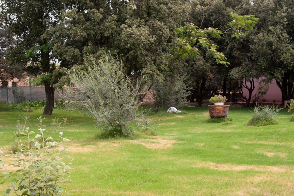 Loft Mansardato Con Giardino E Piscina In Villa Privata Loft With Garden And Swimming Pool In A Private Villa Sestu エクステリア 写真