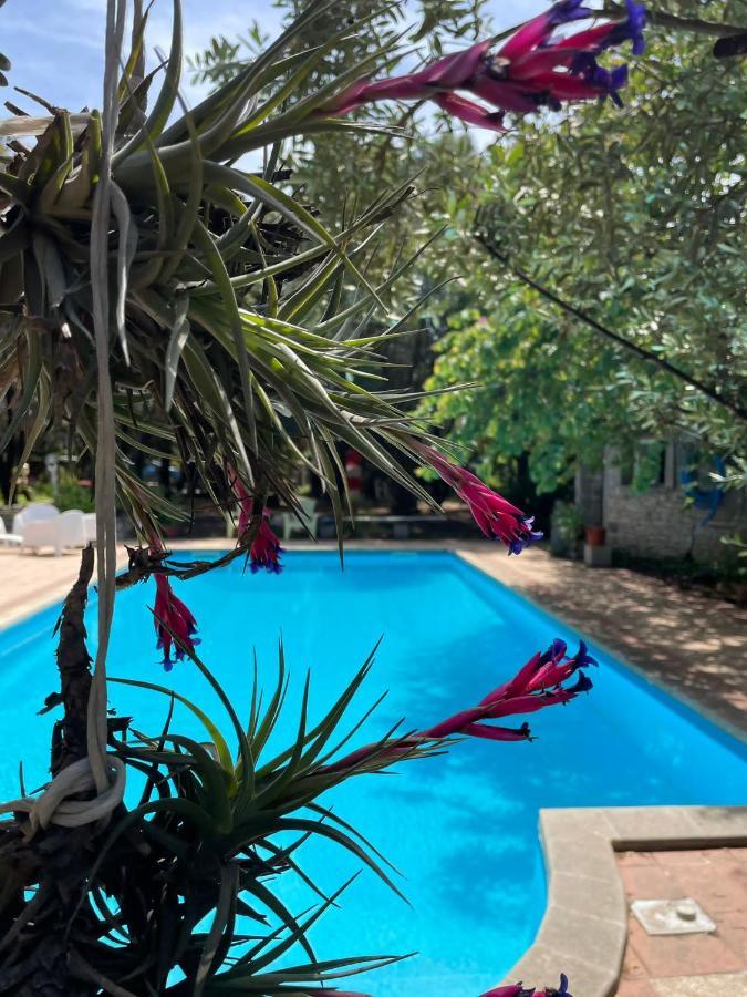 Loft Mansardato Con Giardino E Piscina In Villa Privata Loft With Garden And Swimming Pool In A Private Villa Sestu エクステリア 写真