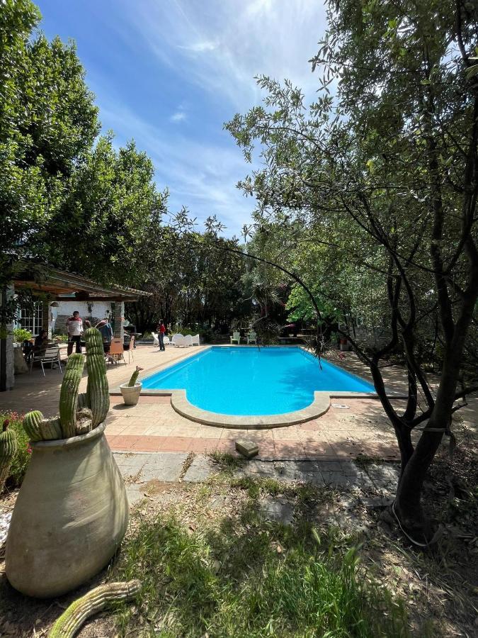 Loft Mansardato Con Giardino E Piscina In Villa Privata Loft With Garden And Swimming Pool In A Private Villa Sestu エクステリア 写真